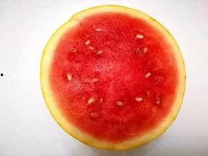 强力吃瓜,强力吃瓜，带你领略明星幕后故事